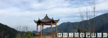 著名作曲家张鹤 歌唱家付豪 助力中国赖茶