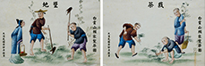 百年通草画册再续茶人茶缘