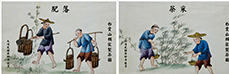 百年通草画“认祖归宗”闽东制茶史再添力证 ——《白云山赖家制