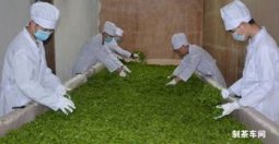 賴氏紅茶”傳承百年茶文化