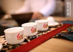 宽厚人文的隽永再现